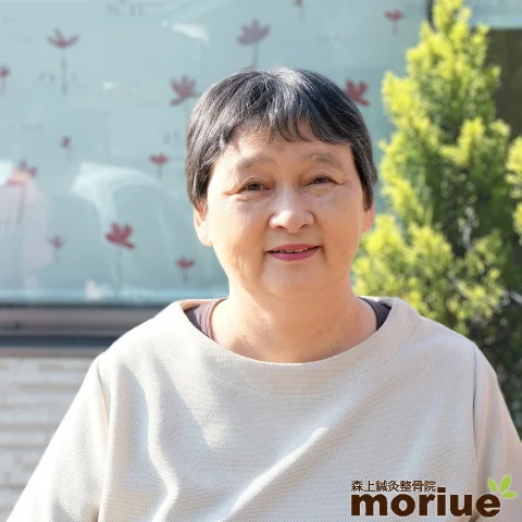 H.S. 岛根县