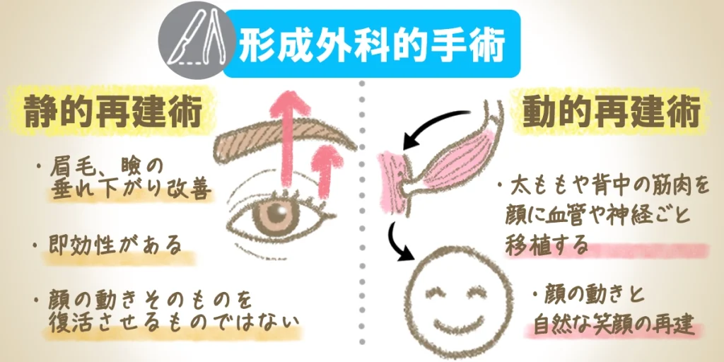 形成外科的手術の種類と特徴をイラストで図解